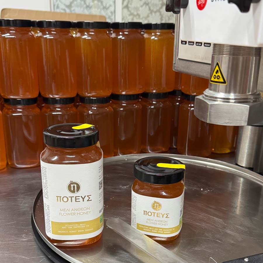 Bottling of blossom honey.